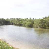 Untouched Paradise in Quezon, PH