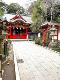 【冬の鎌倉】江ノ島ぐるっと観光スポット