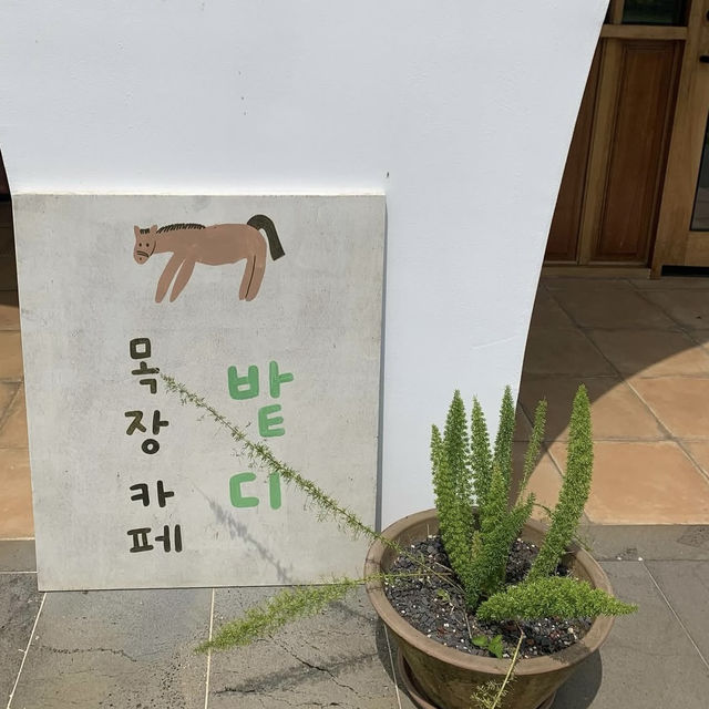 【韓国】チェジュ島にある牧場カフェで素敵な体験🐴🍦