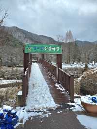 대전에서 빙벽을 볼 수 있는 곳💙