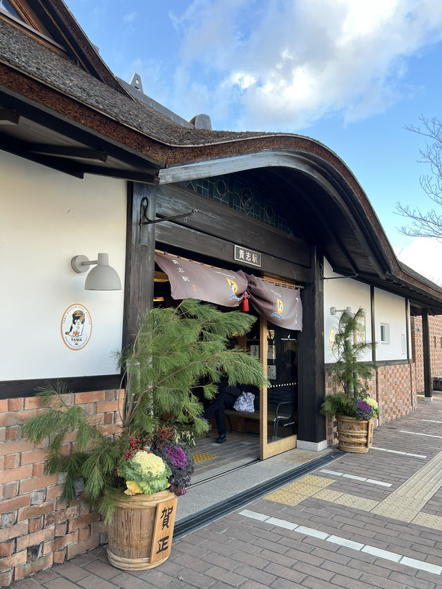 日本和歌山 貓站長貓列車貴志站🚃