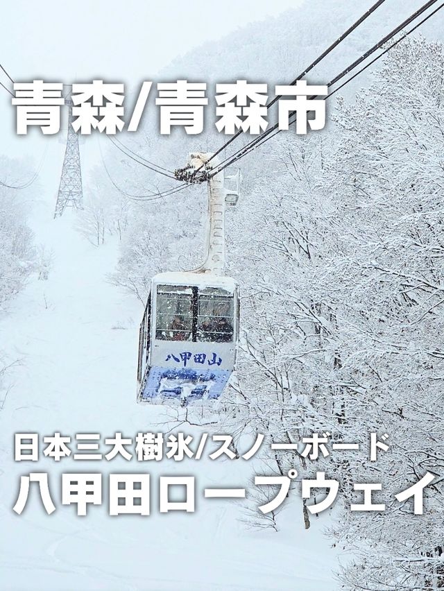 【青森】日本三大樹氷『八甲田山』