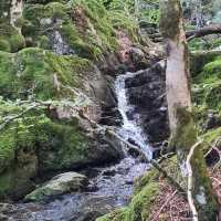 Cevennes National Park