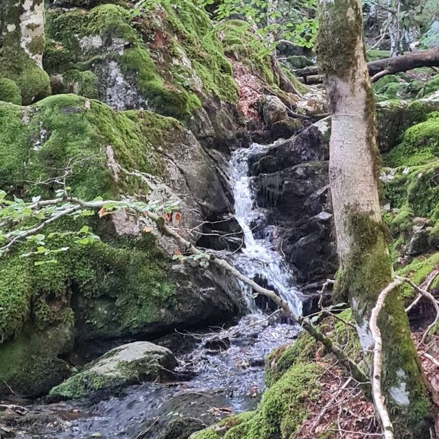 Cevennes National Park