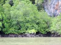 Thailand’s Majestic Natural Paradise: Phang Nga Bay