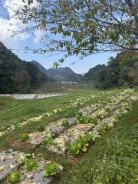ดอยอ่างขาง จังหวัดเชียงใหม่