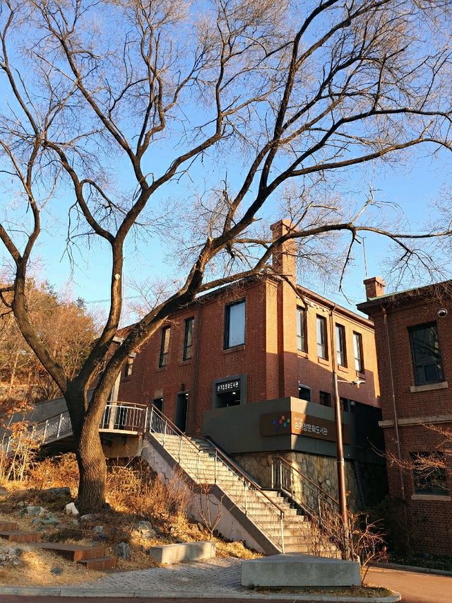 📚 이런 도서관이 있어? 😯 손기정문화도서관