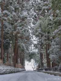 Sendai ในวันที่หิมะโปรยปราย~🌨️❄️🇯🇵