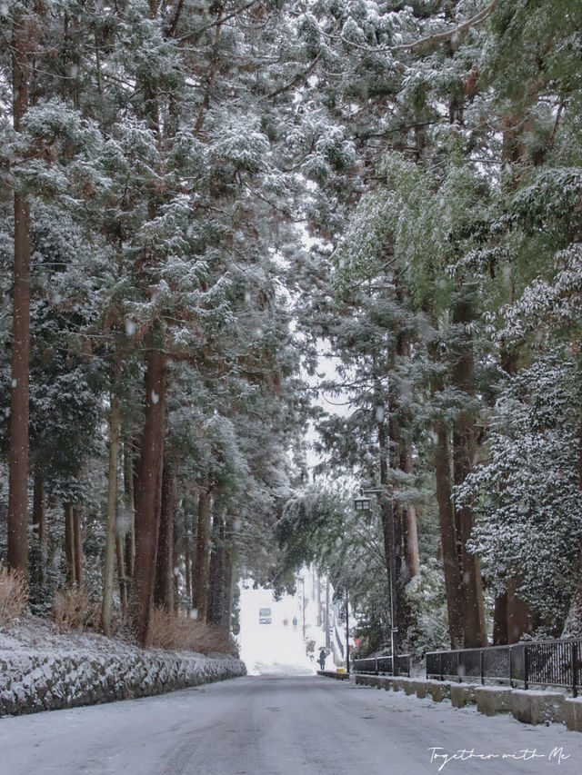 Sendai ในวันที่หิมะโปรยปราย~🌨️❄️🇯🇵