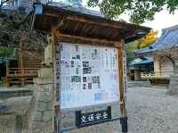 Oyama Ryokuchi Park大山緑地 ไหว้ศาลเจ้าขอพร