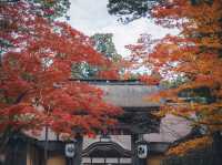 🍁秋色に染まる金剛峯寺で心癒されるひとときを🍁