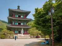 A Scenic Tour to Bongeunsa Temple