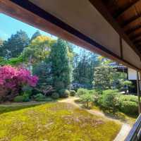 京都⛩️　隨心院🪷フォトジェニックスポット