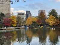札幌市區賞楓景點～中島公園