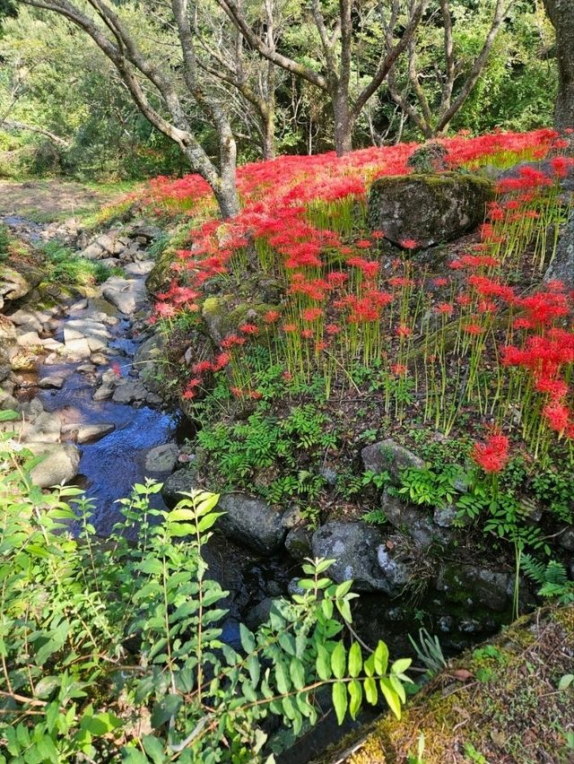 【紅の幻想】