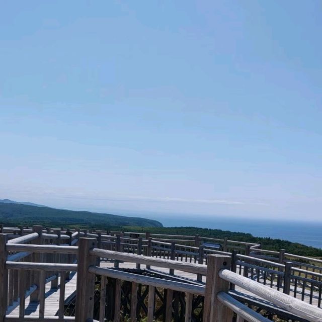 【北海道】知床国立公園〜世界自然遺産の大自然〜