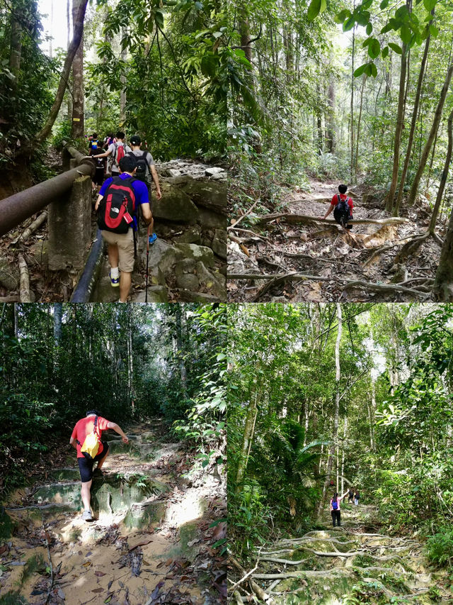 Conquer the Wild: Jungle Trekking at Ulu Bendul Forest Eco-Park