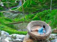 Swing into Serenity at Bali 