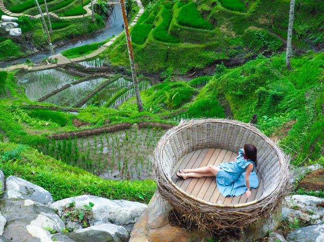 Swing into Serenity at Bali 