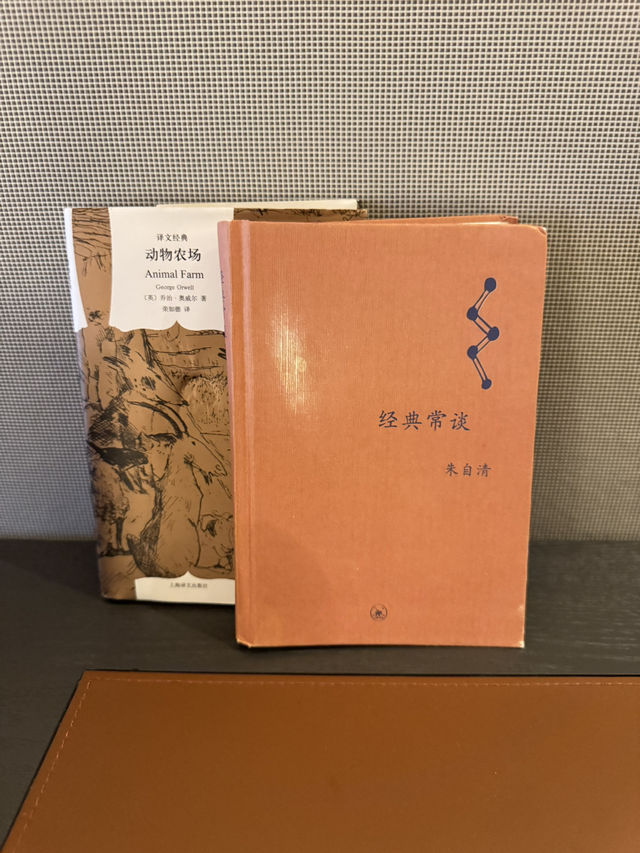 渡假體驗實驗室｜深圳Icon Lab艾垦酒店