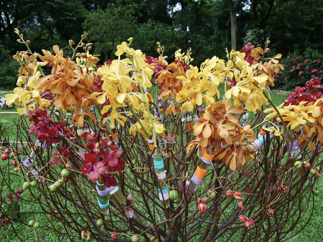 Nature in the City: Exploring Hong Kong Zoo and Botanical Gardens