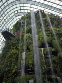3D Garden in the city (nature, culture and food immersion)