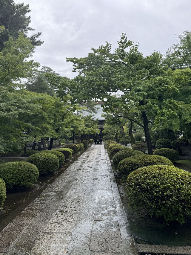 日本東京 豪德寺 買一個貓貓許一個願 
