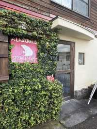 【日田観光】豆田町商店街にある可愛い白くまに会えるカフェ🐻‍❄️