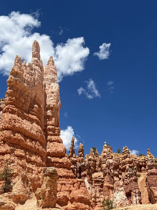  A Nature’s Sculptures – My Getaway to Bryce Canyon National Park 