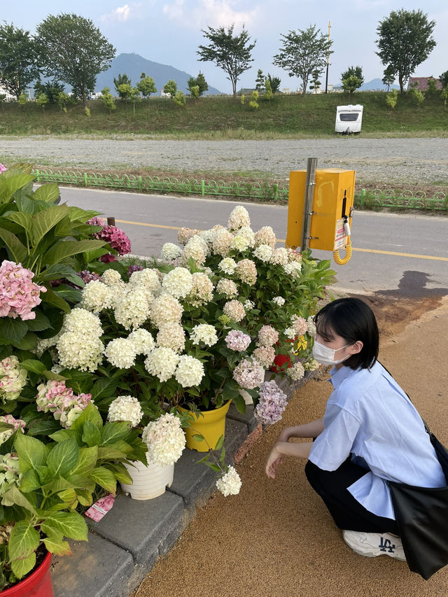 장성 산책길 황룡강