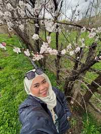 Experience Travel like a Local in Kyrgyzstan 😍