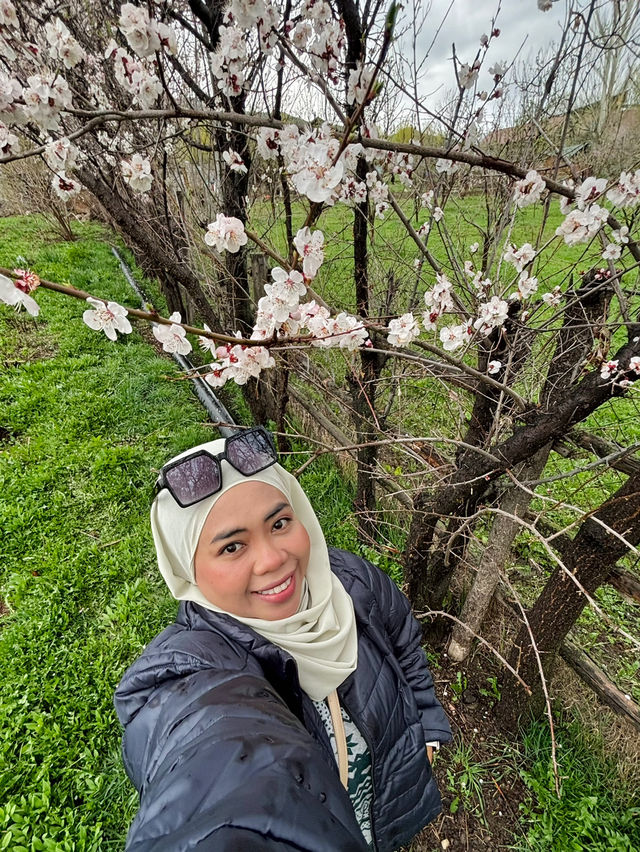 Experience Travel like a Local in Kyrgyzstan 😍