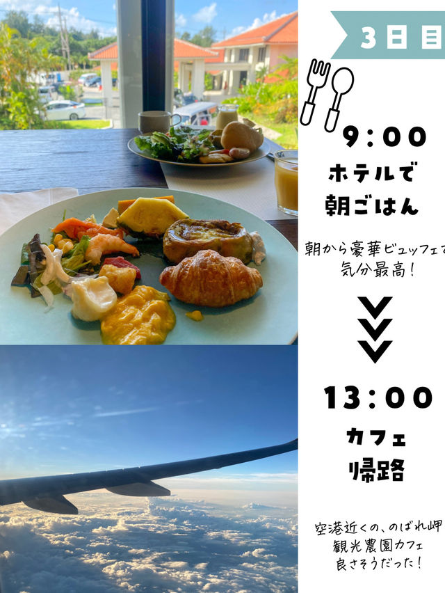 【石垣島プラン】初めての方必見！石垣島おすすめプラン後編紹介するよ！🌺