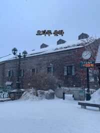 오타루에서 꼭 가야한다는 여행지!