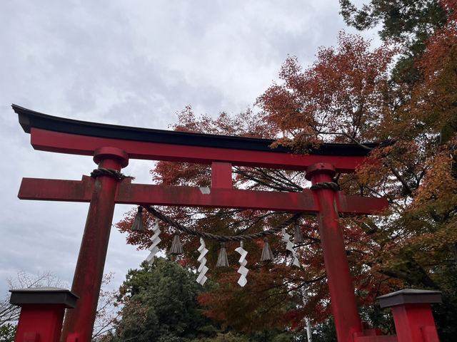 高尾山で紅葉狩り@東京・八王子🍁