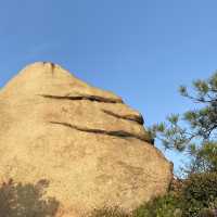 【岡山】王子が岳