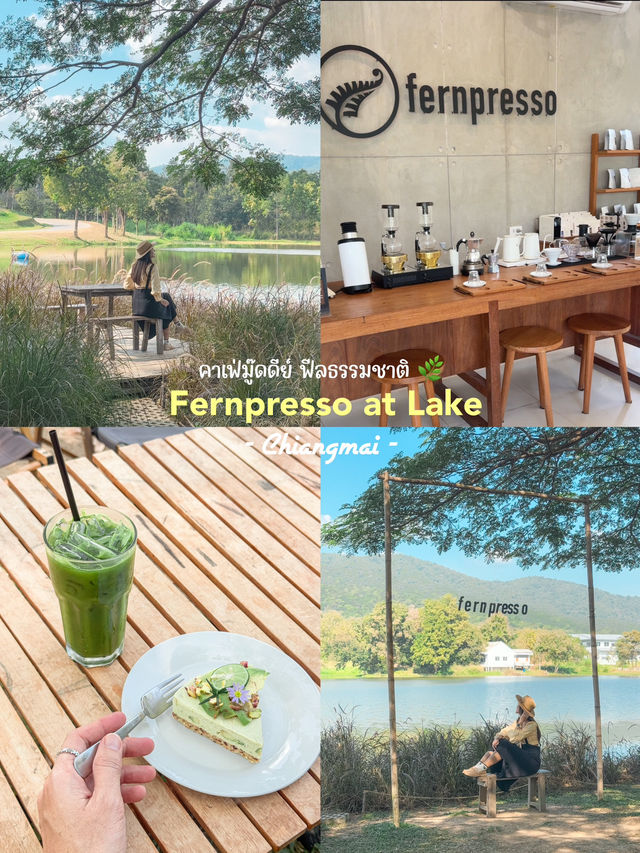 Fernpresso at lake คาเฟ่ vibe ดีย์ในเมืองเชียงใหม่