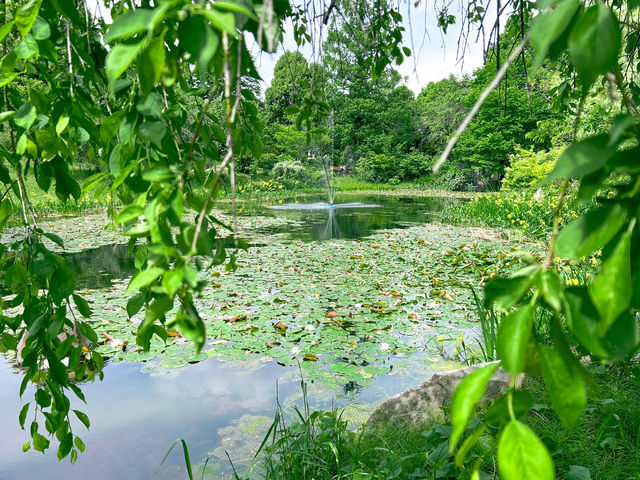 関東最大級のバラ園！フォトスポットもいっぱい