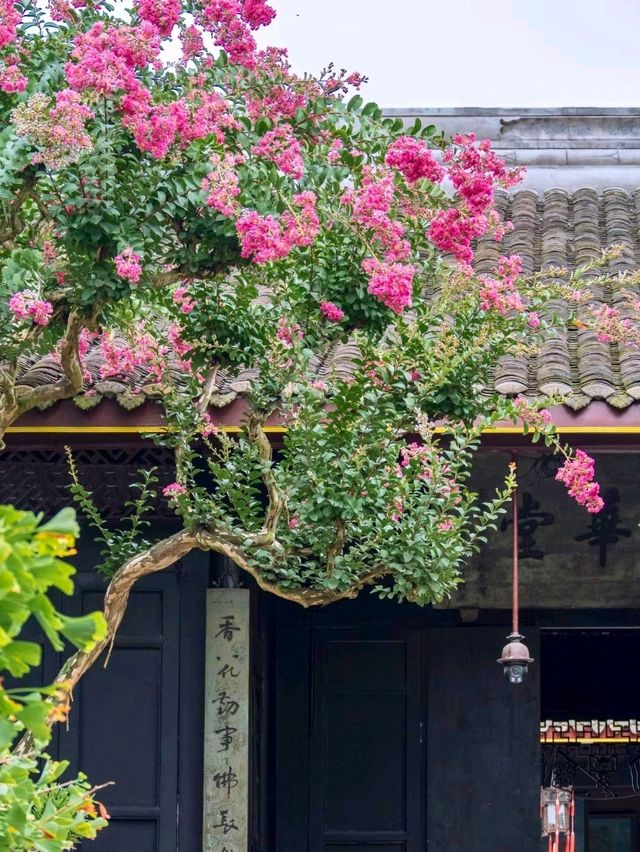 Discovering the Charm of Anren Ancient Town 🏯