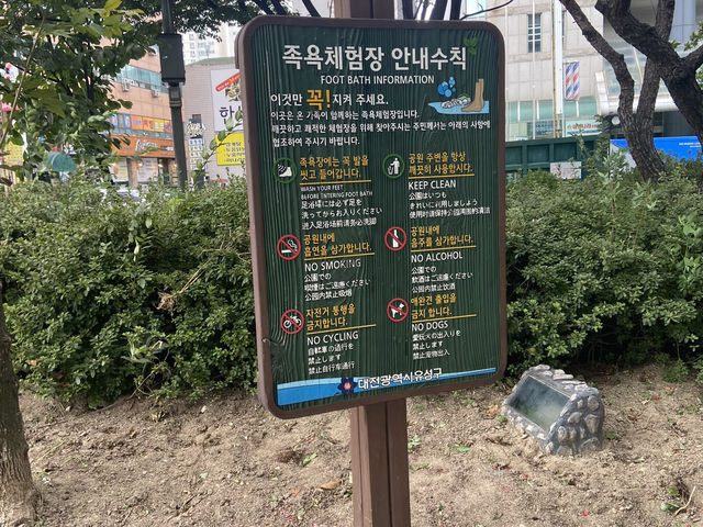 대전 유성온천, 뜨끈한 온천 여행