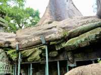A Temple Frozen in Time: Ta Prohm