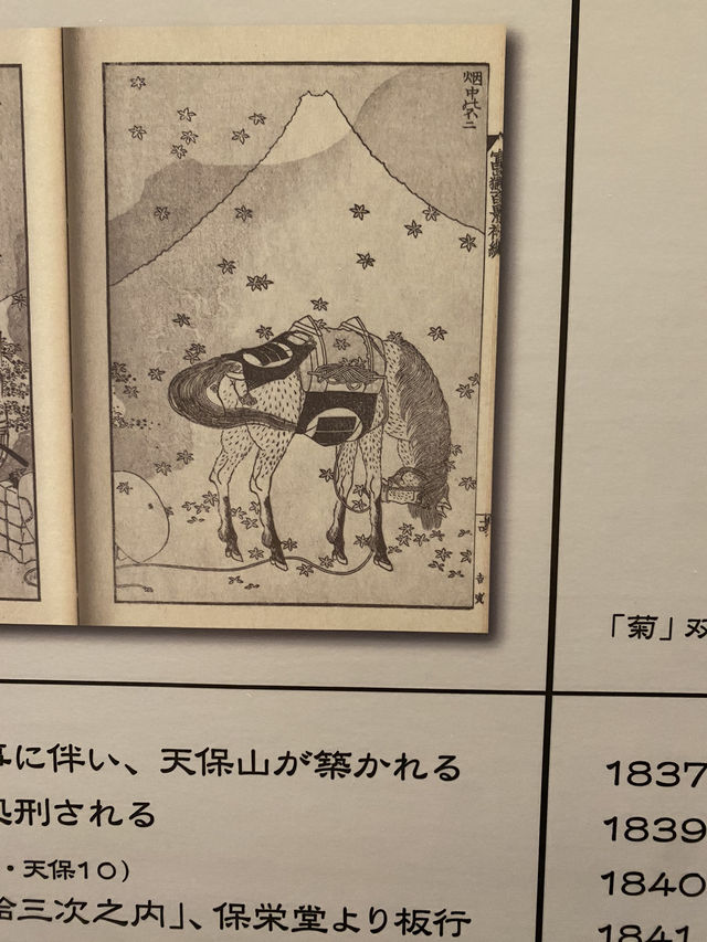 日本長野 冬天必去II