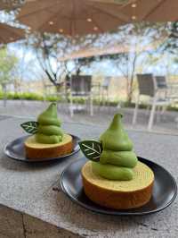 🍐🍏제주 서쪽 가볼만한 곳 오설록 티뮤지엄 