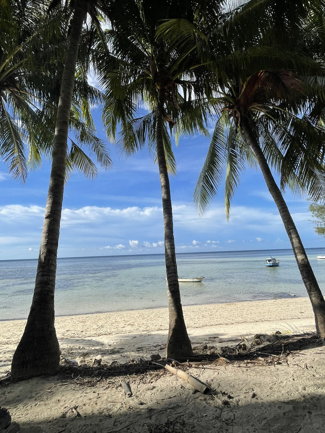 A White Sand Escape at Walakiri Beach—Plus a Furry Surprise! 🏖️🐶