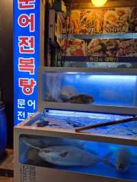 🍣 겨울바다가 제철생선이 한상가득한 금정역 묵호항세꼬시 🍣