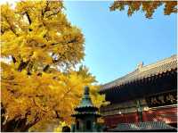 วิธีเดินทาง(รถไฟ) : ปักกิ่ง->กำแพงเมืองจีนMutianyu