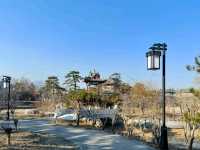 Jinniu Lake Park: A Blend of Nature and History