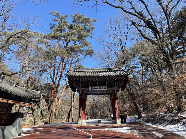 충북 보은에서 만난 유네스코 유산 법주사