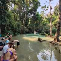 From Peaks to Pools: The Continued Kuang Si Adventure