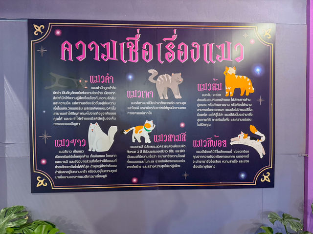 🐱✨ The Secret Magic Cat